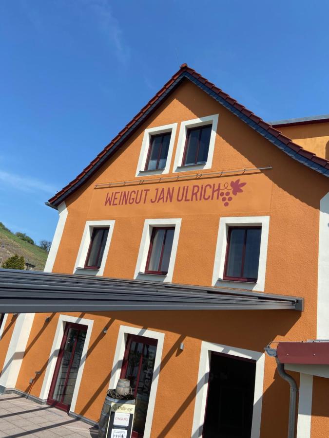 Weingut Jan Ulrich Hotel Diesbar-Seusslitz Exterior foto